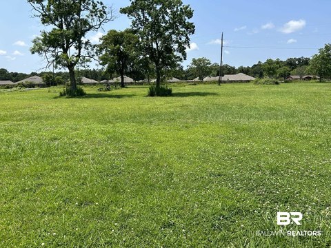 Cleared Land Ready for Development