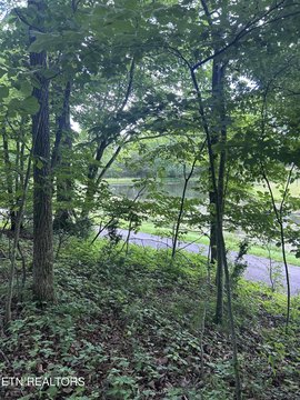 LAND - Fairfield Glade, TN