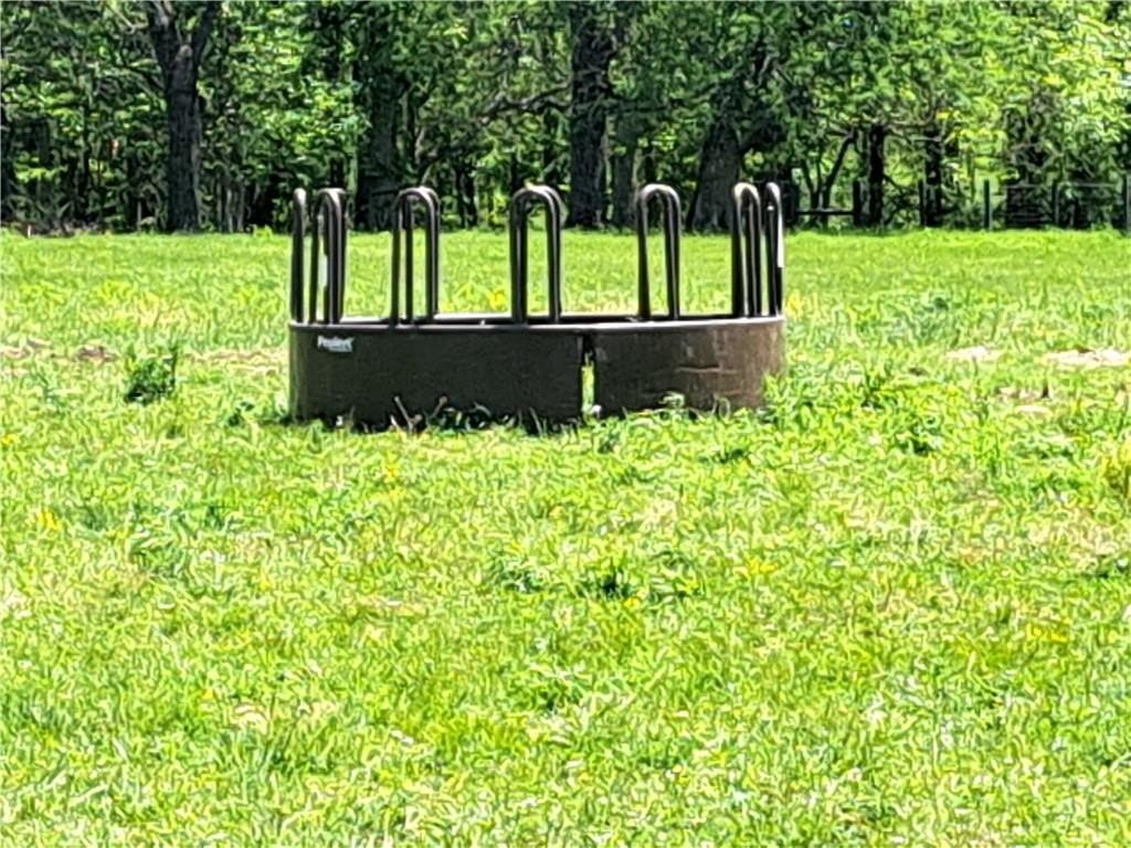 Picture 42