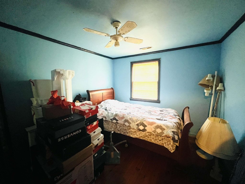 Picture 31