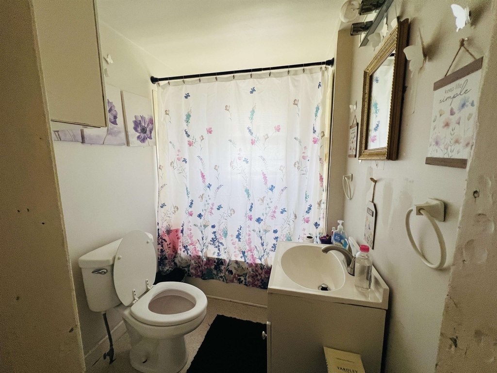 Picture 33