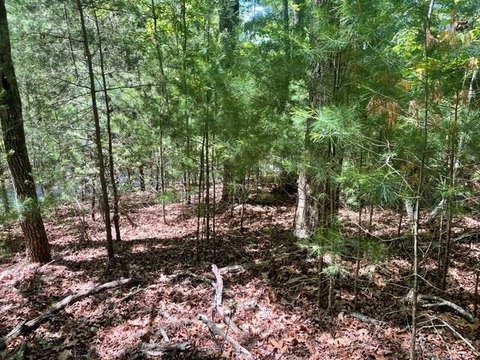 Blairsville Vacant Lot with Septic