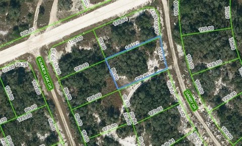 Residential Land in Lake Placid