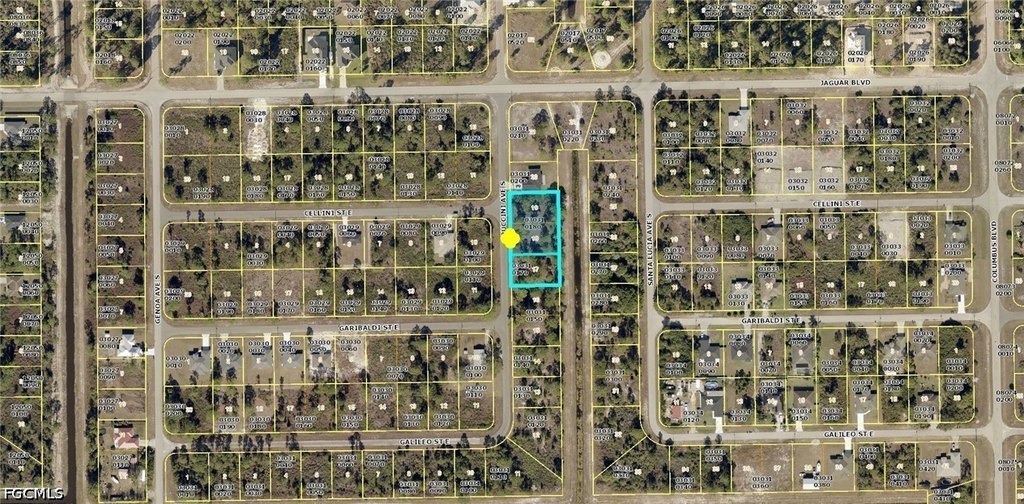 Picture 3