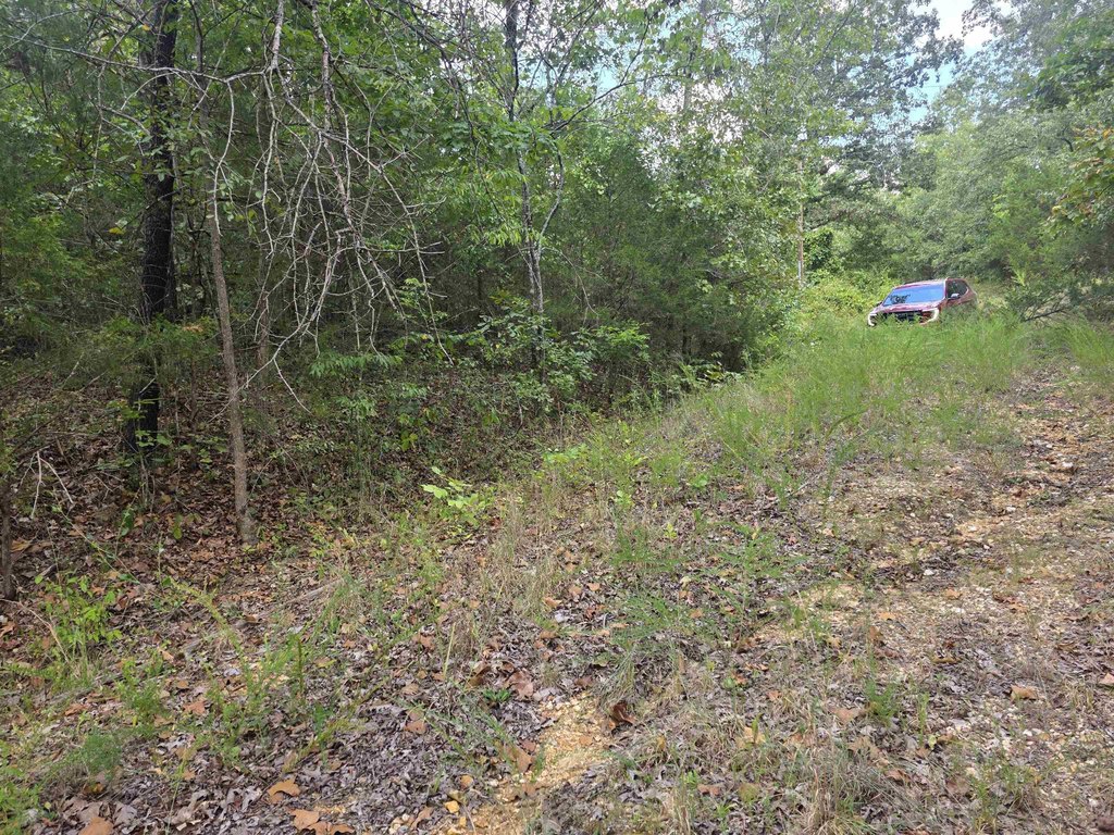 Picture 4