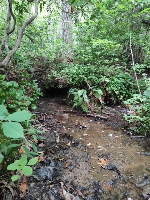 Picture 2