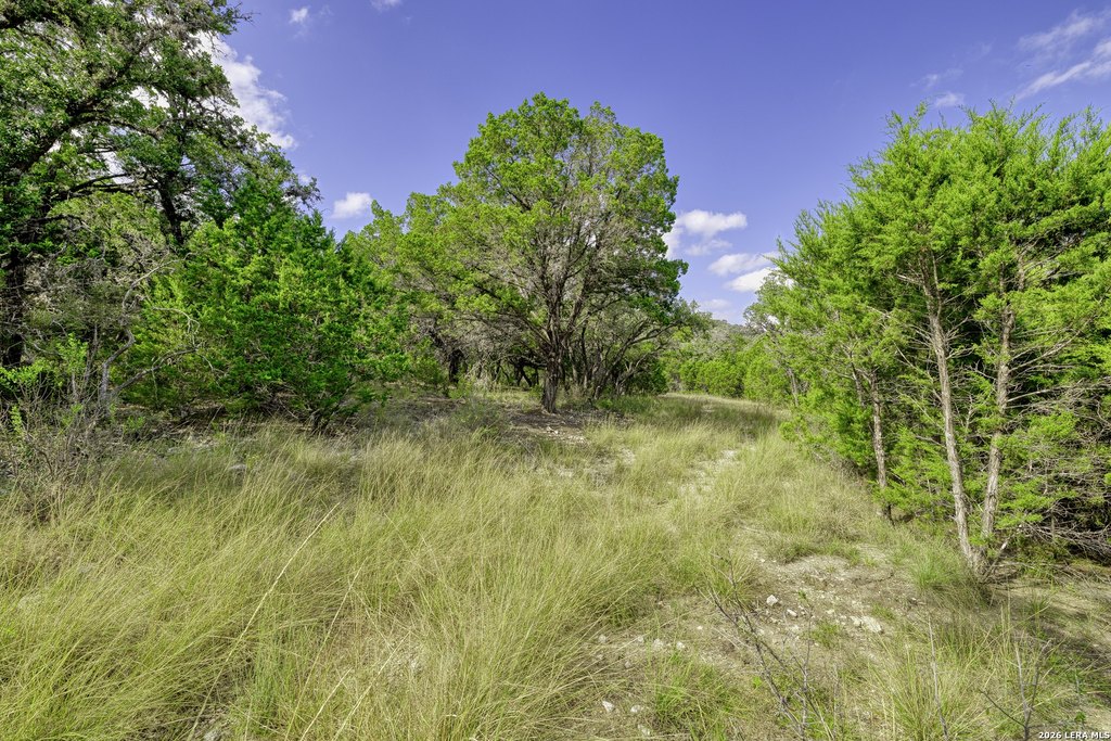 Picture 20