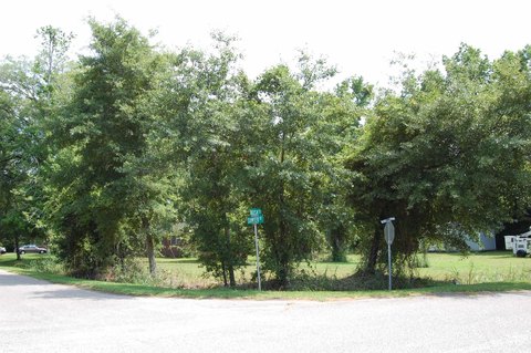 Residential Lot in Georgetown, SC