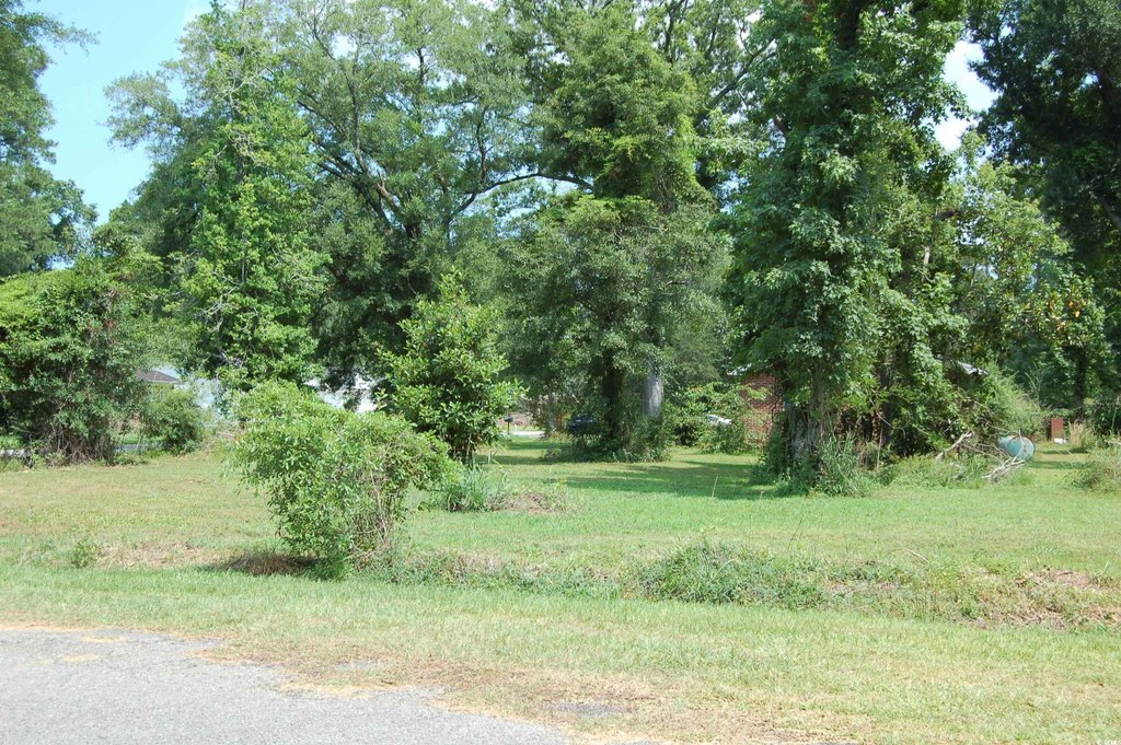 Picture 5