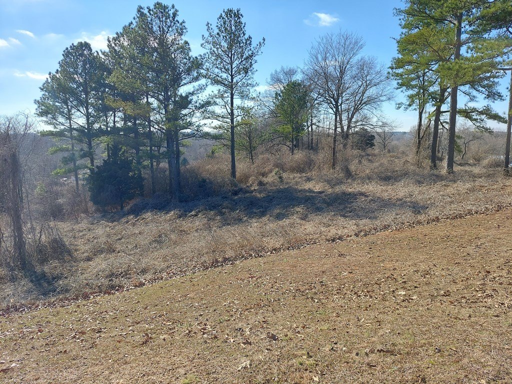 Picture 4
