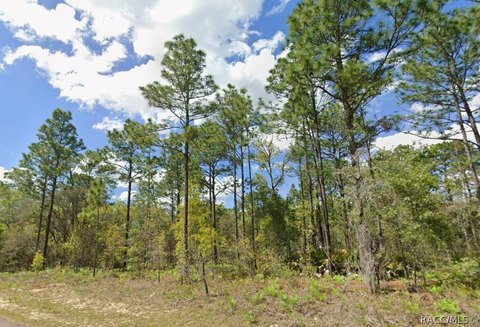 Land, Dunnellon, FL