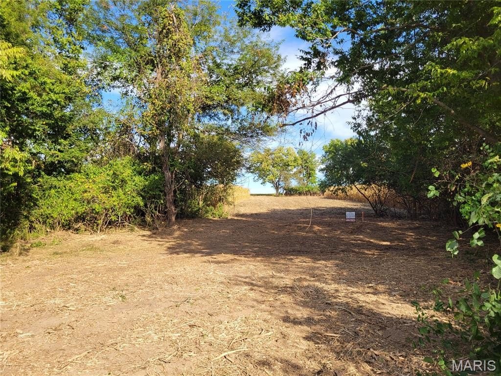 Picture 11