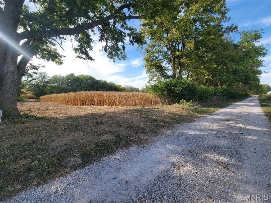 Picture 6