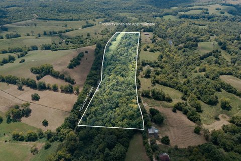 Carlisle, KY Land for Sale