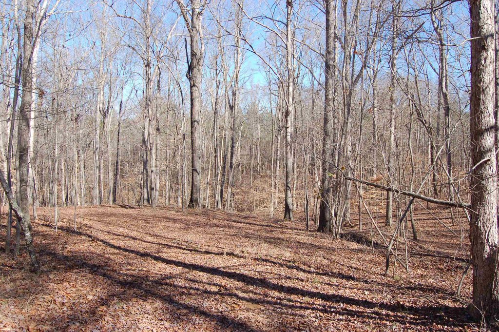 Picture 12