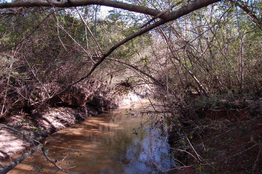 Picture 6