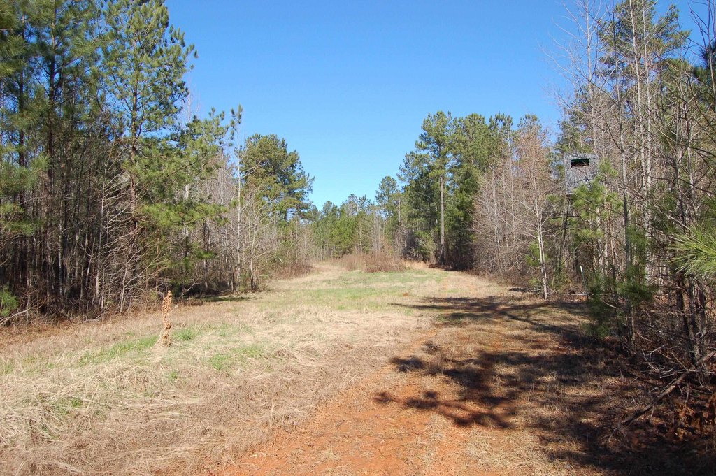 Picture 10