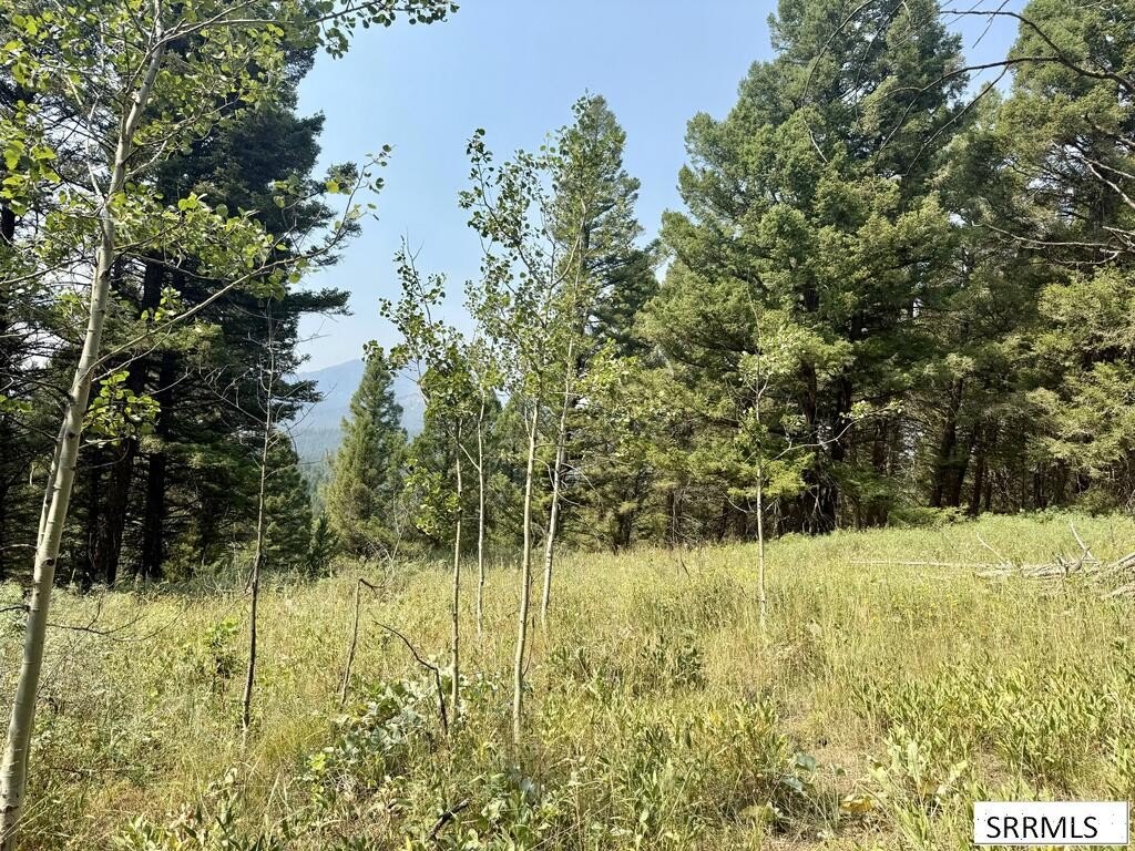 Picture 5