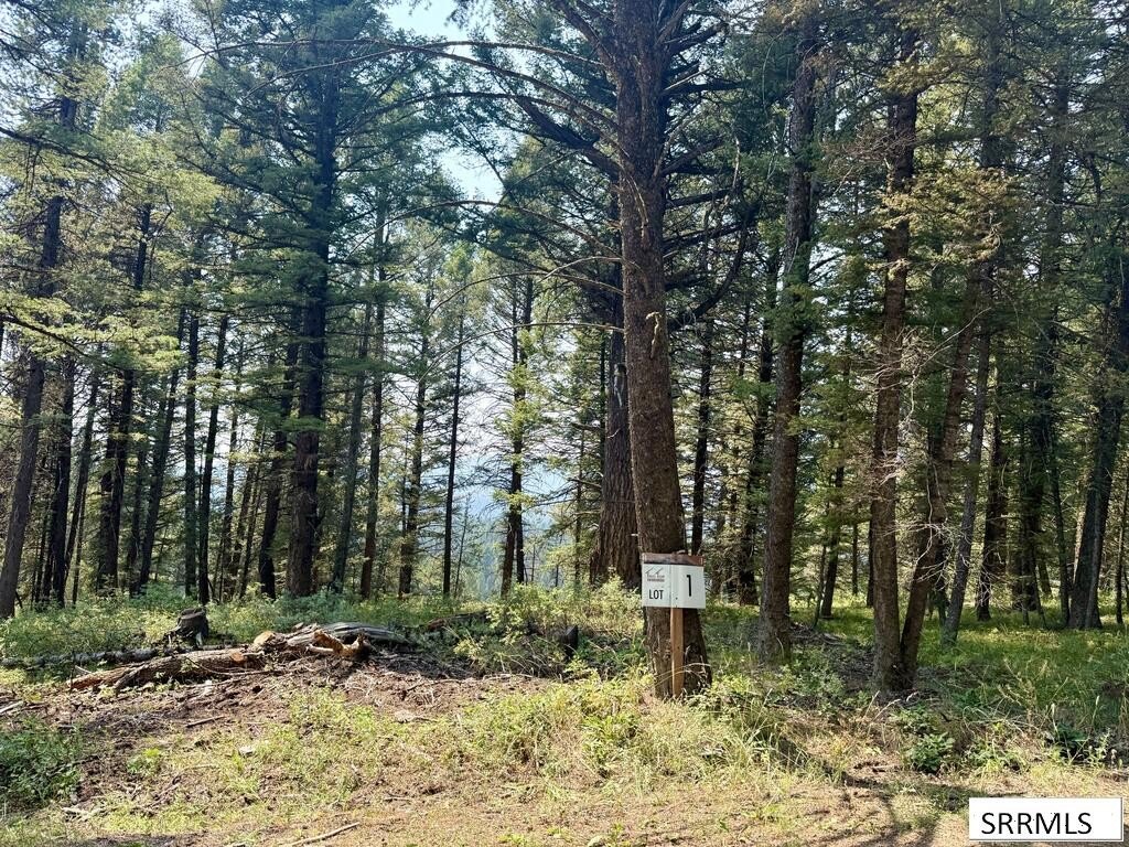 Picture 9