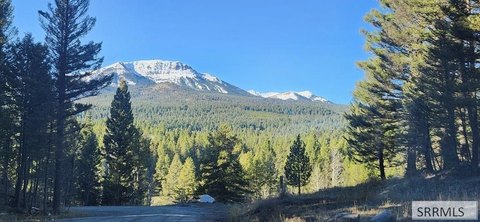 LAND - Island Park, ID