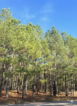 LAND - Broken Bow, OK