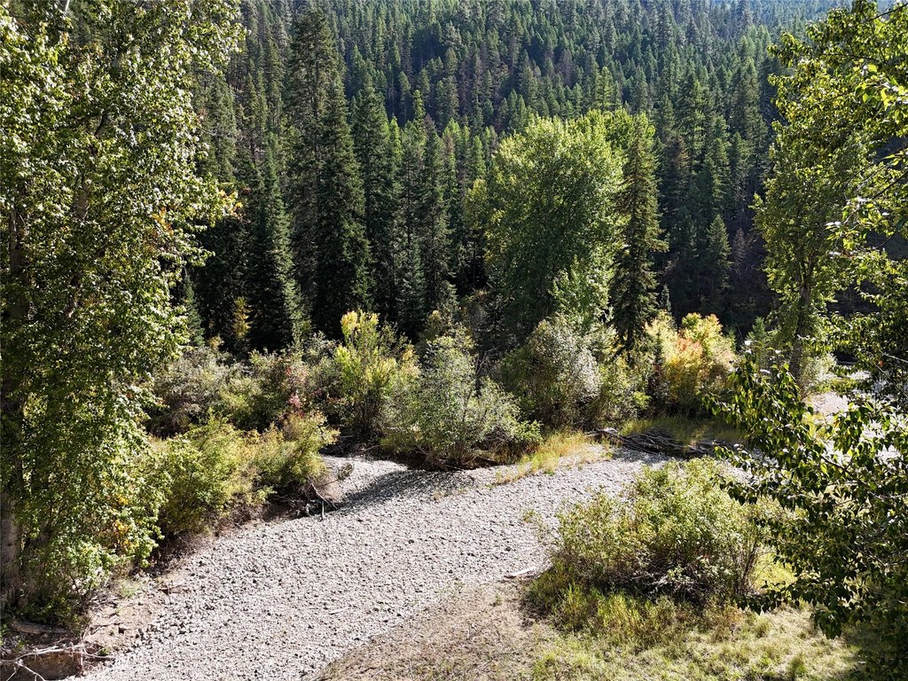 Picture 37