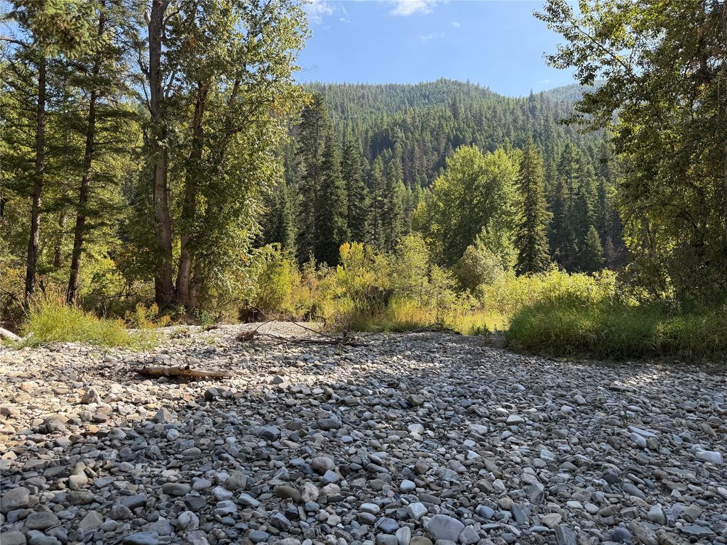Picture 42