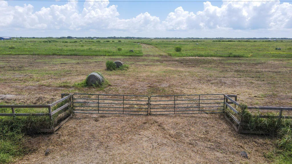 Picture 11