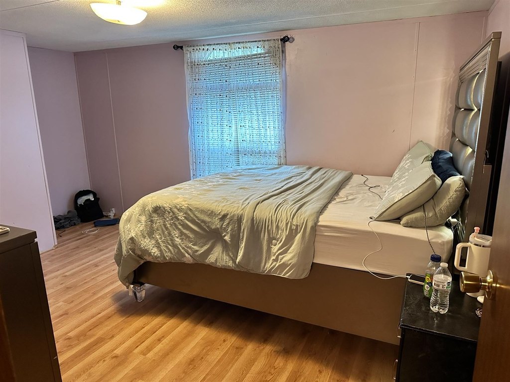 Picture 53