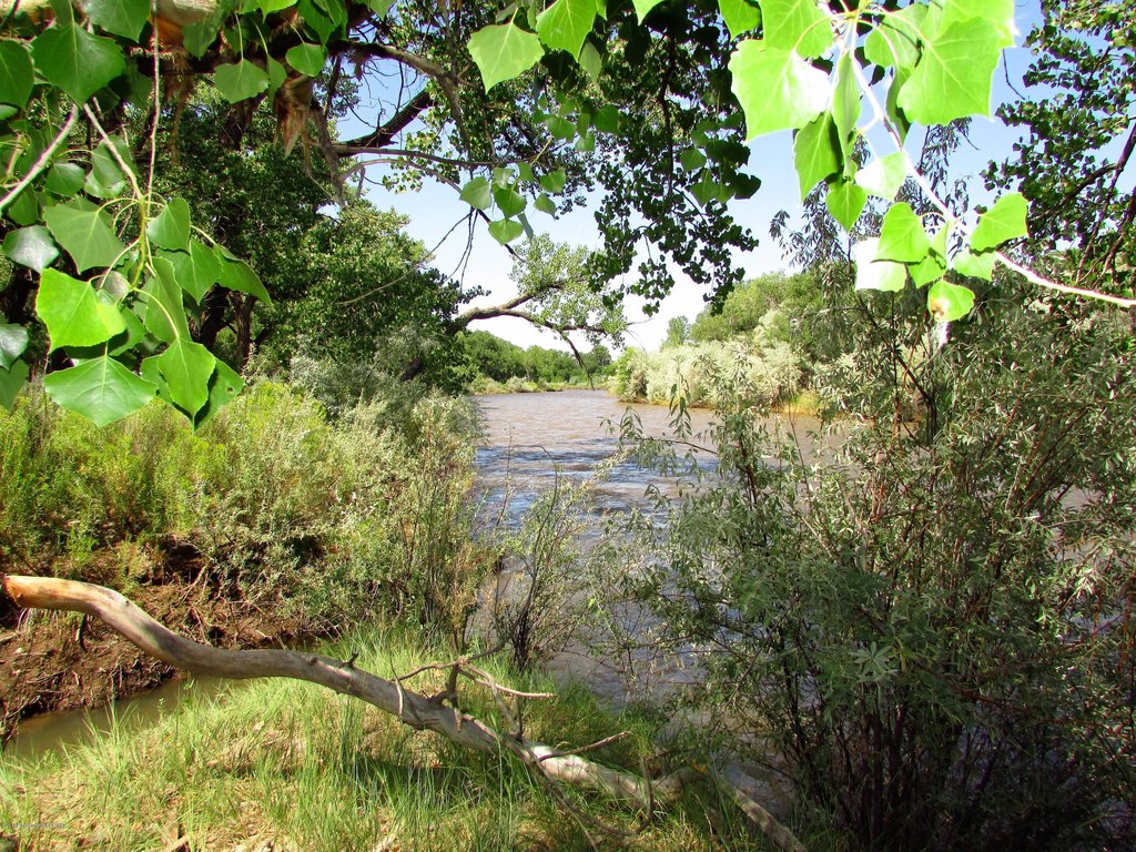 Picture 9