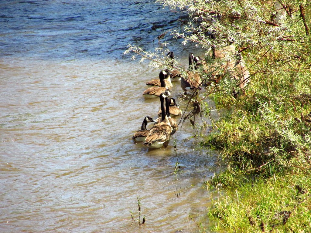 Picture 19
