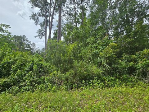 Land, OCKLAWAHA, FL