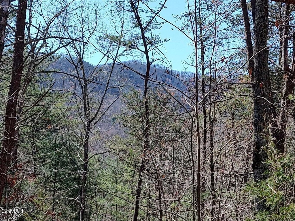 Picture 8