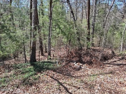 Land, Sevierville, TN