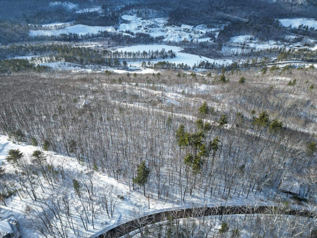 Picture 10