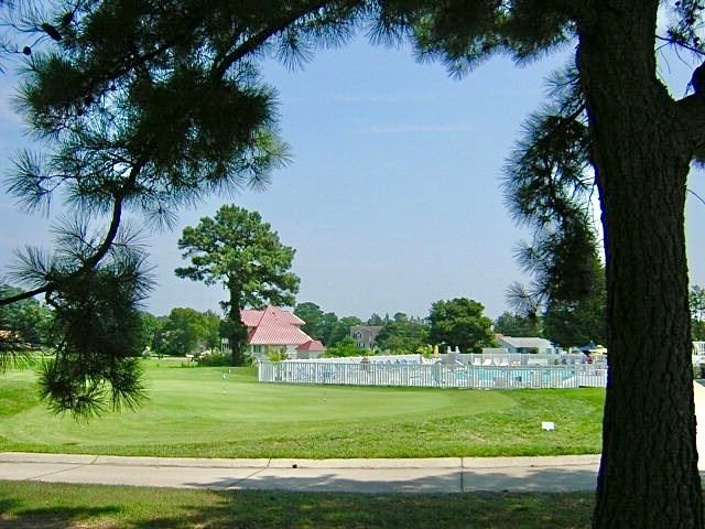 Picture 23