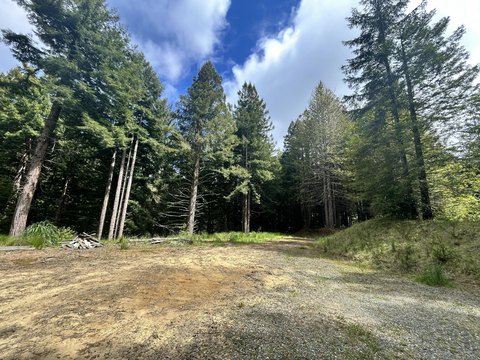 LAND - Eureka, CA