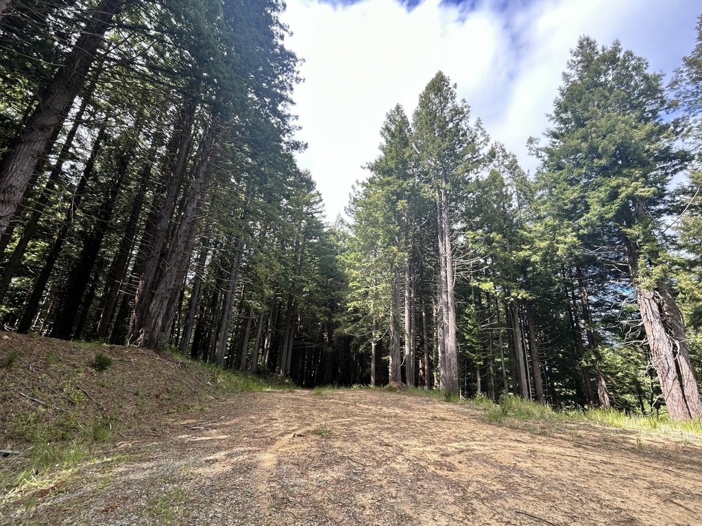 Picture 4