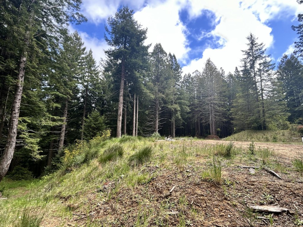Picture 7