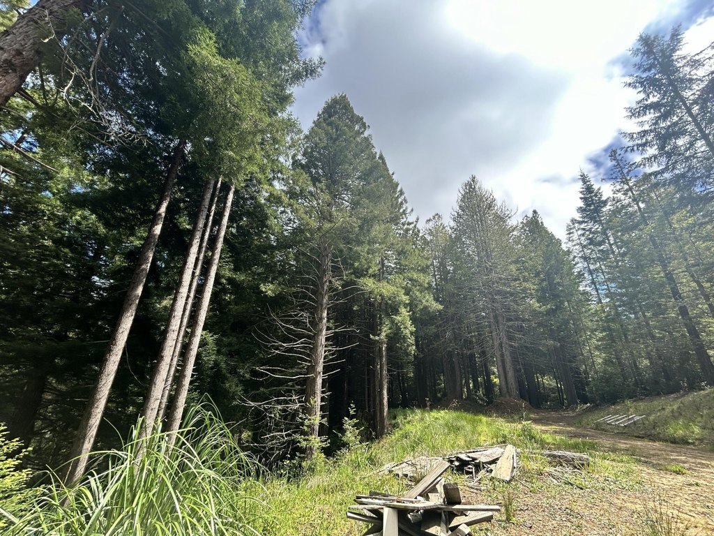 Picture 3