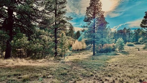 National Forest-Adjacent Mountain Homesite