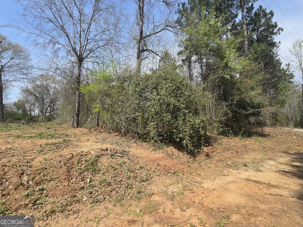 Picture 6