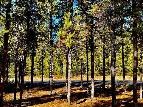 Land, West Yellowstone, MT