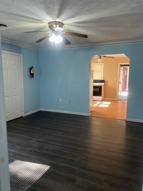 Picture 27