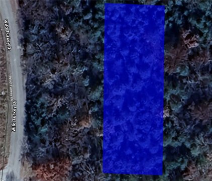 Holiday Island Land Opportunity