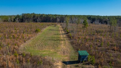 Creek-Front Hunting Land