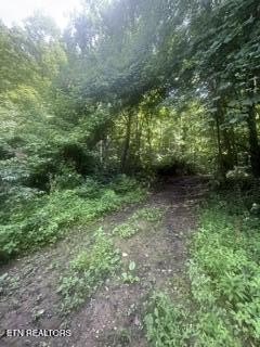 LAND - Maynardville, TN