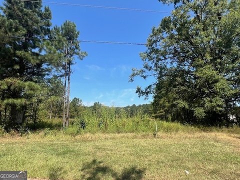 Commercial Lot in Zebulon, GA