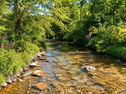 Acreage, Murphy, NC