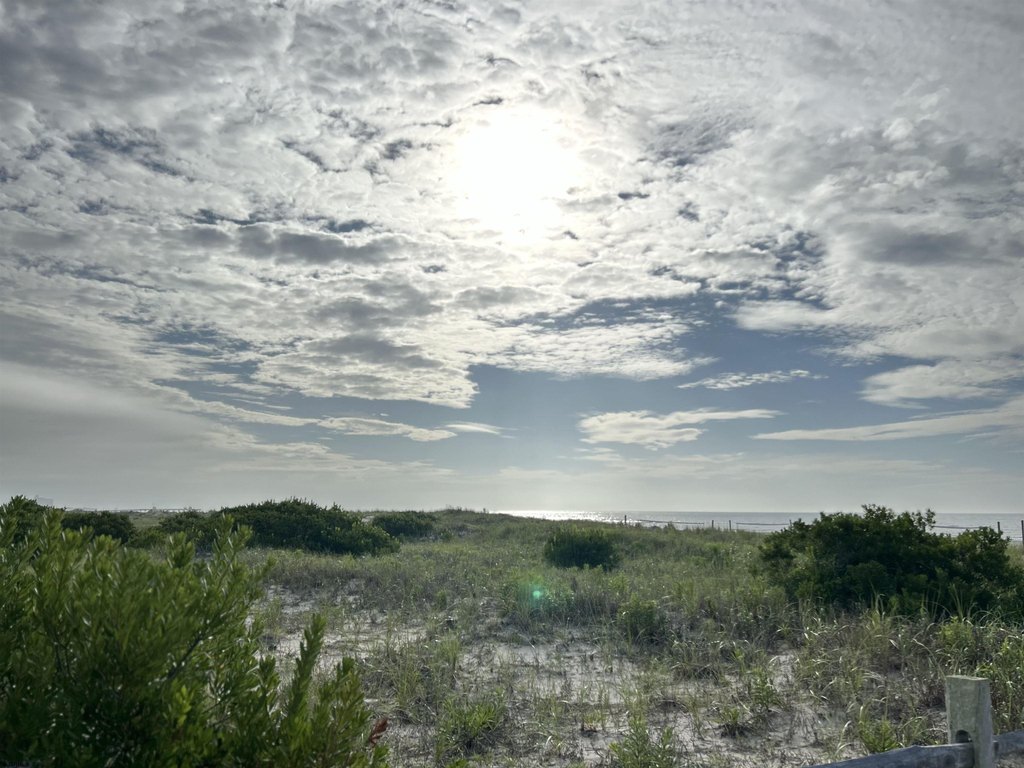Picture 16